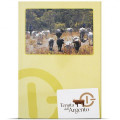 room directory cartoncino personalizzabile