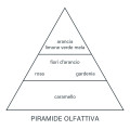 fragranza_divinum_ricarica_piramide_olfattiva