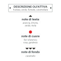 fragranza_divinum_ricarica_collocazione_olfattiva