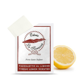 salvietta-limone-tnt-rinfrescante-personalizzabile