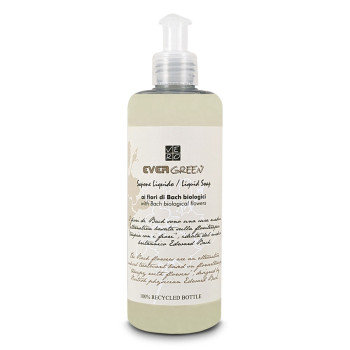 sapone liquido evergreen dispenser hotel