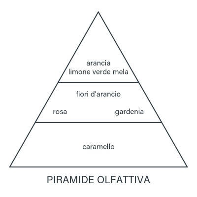 fragranza_divinum_ricarica_piramide_olfattiva