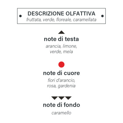 fragranza_divinum_ricarica_collocazione_olfattiva