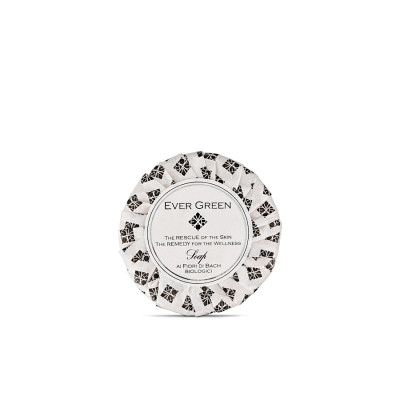 sapone plissè 40 gr evergreen vip